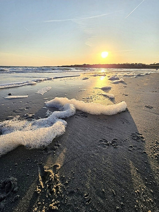 Why I Started Wave + Summit